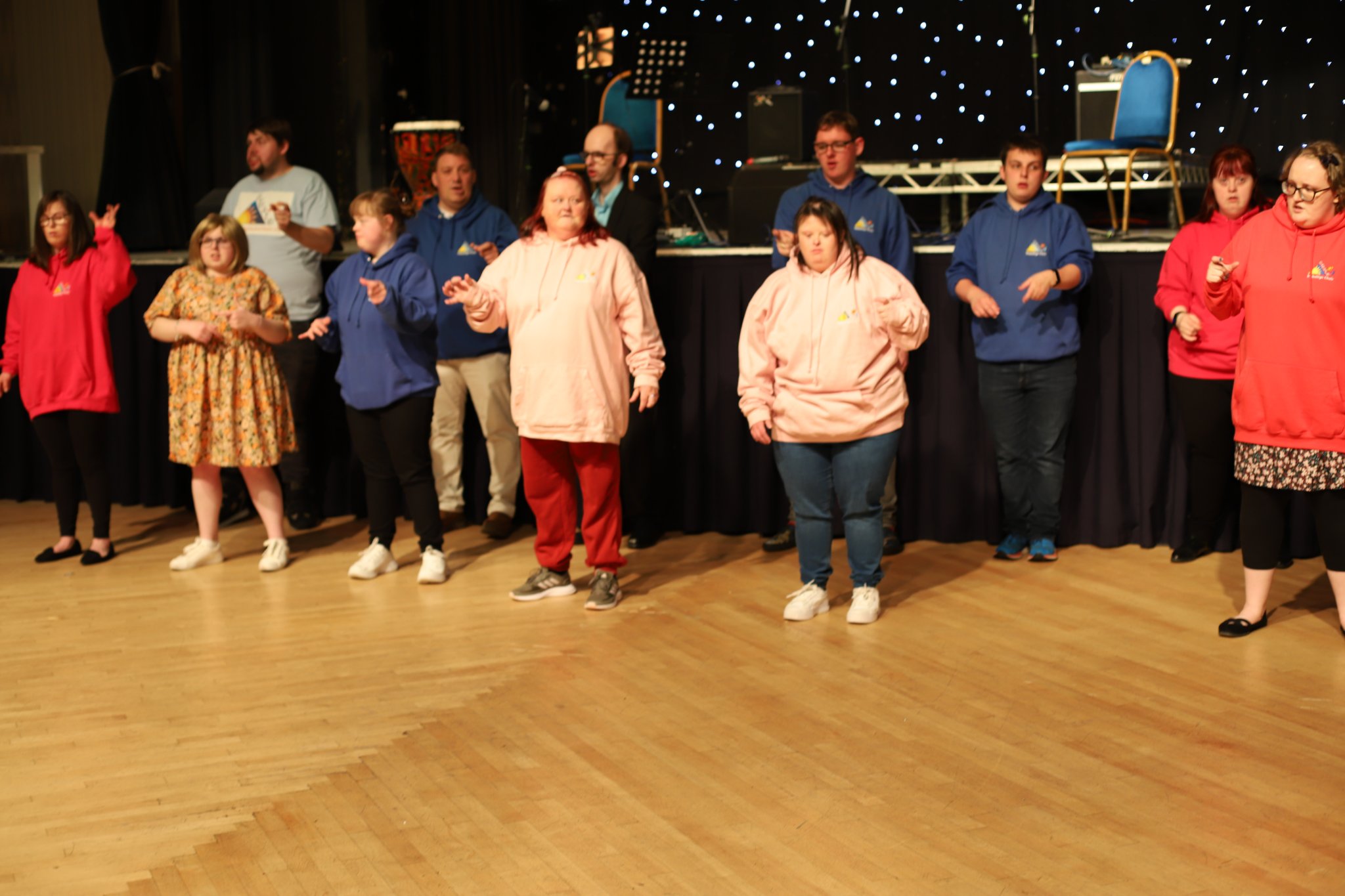 A group of people standing in front of a stage, faces obscured, there are twinkling lights behind them.