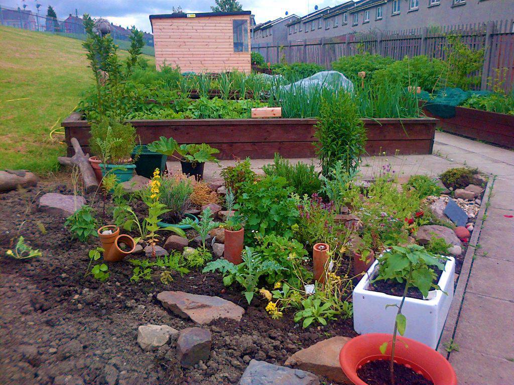 A vibrant garden with raised beds full of diverse plants, colourful flowers, and a shed in the background.