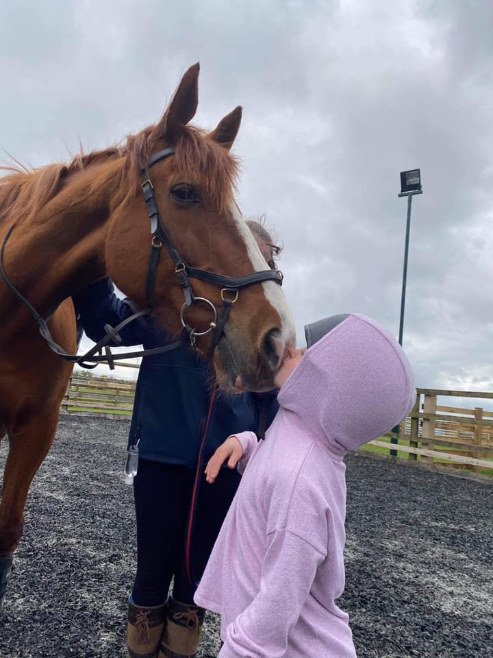 A small child reaching up to kiss a large brow horse's face.