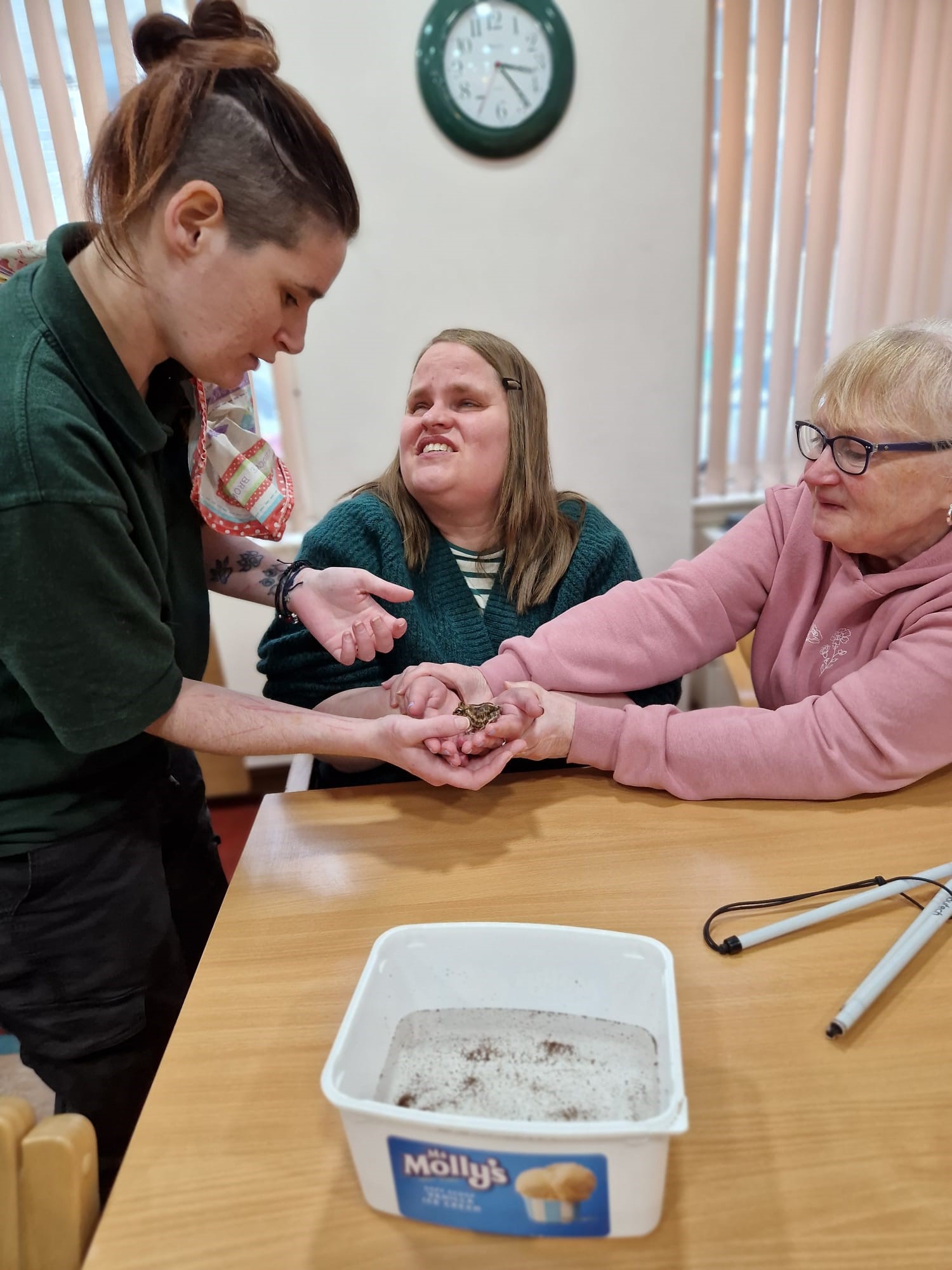 Three people around a wooden table holding a small reptile in their hands.